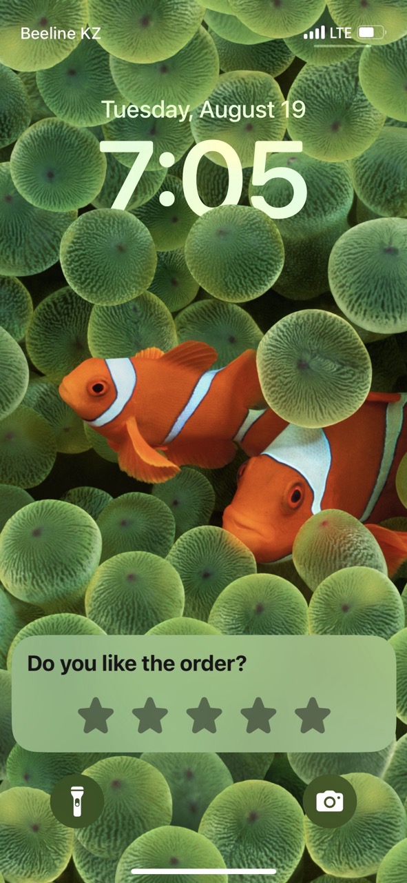 Dodo Live Activity widget