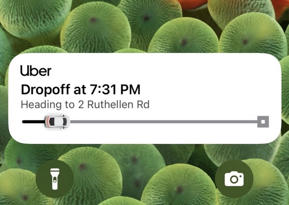 Uber Live Activity widget